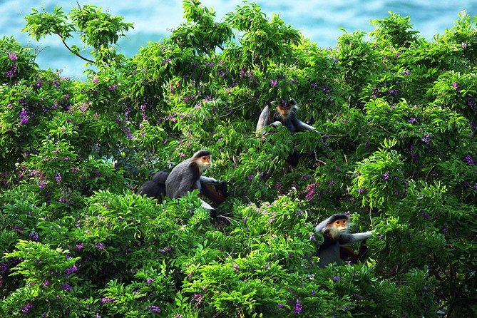 Marble mountain, Am Phu cave and Monkey mountains group tour - Lunch gives the day a local pause