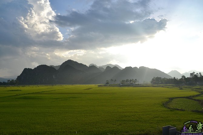 Mountain Bike Riding from Hoi An - Rice fields, village roads, and river islands