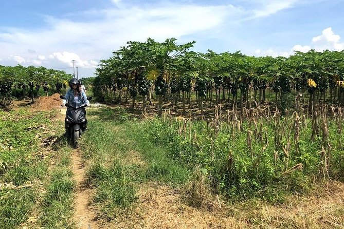 My Son Adventures Loop (1 ngày -150km) - Reaching My Son Sanctuary with a guide