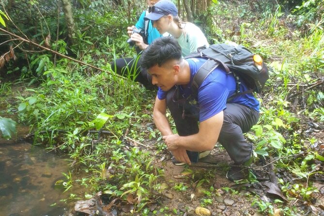 My Son sanctuary and mountain trekking - Breakfast, coffee, and the change from temples to forest