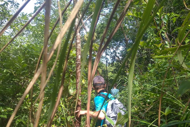 My Son sanctuary and mountain trekking - Streams, birds, squirrels, and a quieter hour