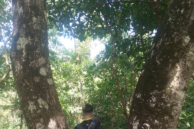 My Son sanctuary and mountain trekking - Transport, group size, and the early schedule
