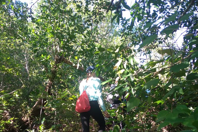 My Son sanctuary and mountain trekking - Is $59 a fair price?