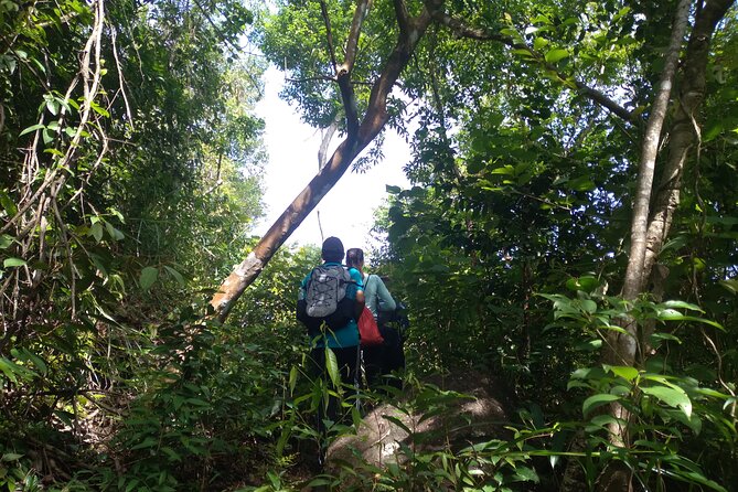 My Son sanctuary and mountain trekking - Who should book this six-and-a-half-hour outing?