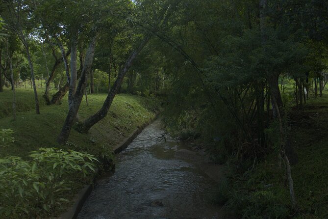 My Son Sanctuary Private Tour - Early Morning or Half Day Tour - The setting, walking, and preservation work