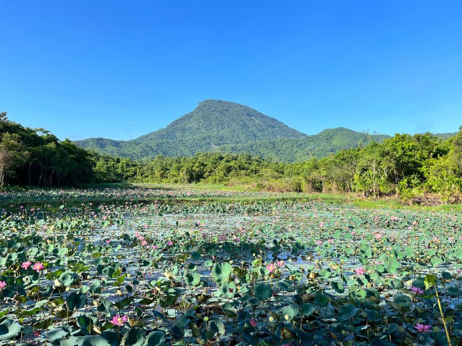 MySon Holyland - Rice Paper Making Deluxe Tour from Danang - Morning or afternoon: which departure fits you?