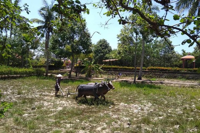 Private Day Trip To Visit MY LAI MASSACRE from Hoi an or Da Nang City - Leaving Hoi An or Da Nang at 8:00 am
