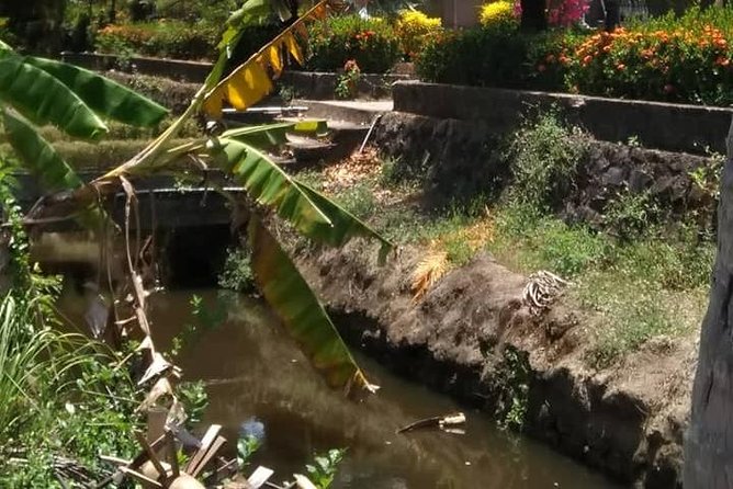 Private Day Trip To Visit MY LAI MASSACRE from Hoi an or Da Nang City - Who will appreciate this private visit