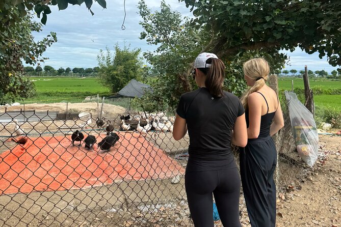 Private Half-Day Hoi An Tour for Families, Couples & Small Groups - Who should book this experience?