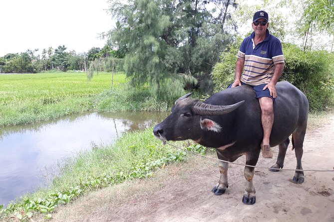 Private Hoi An Countryside: Biking, Basket boat, buffalo, foods - Timing, comfort, and practical limits