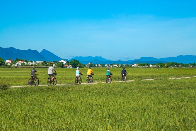 Private Hoi An to My Son Sanctuary Full-Day Bike Tour - Why the ride from Hoi An matters