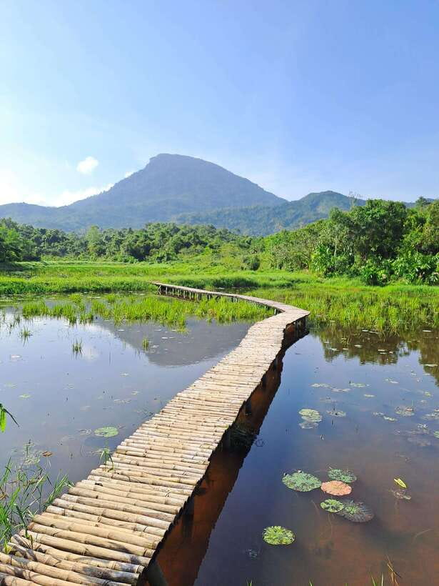 Private My Son and Marble Mountains trip- Early morning - Who should book this Central Vietnam outing