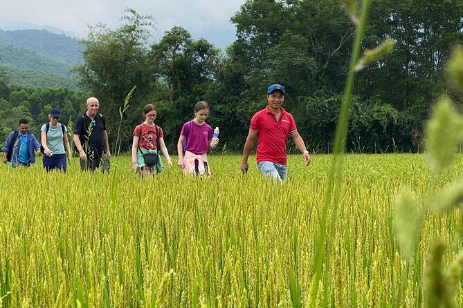 PRIVATE My Son Holy Land Tour: Adventure on Vespa or Motorbike - Riding through rice paddies and village lanes