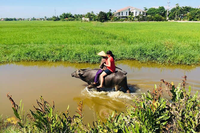 Riding Water Buffalo and Basket Boat Hoi An Private Bike Tour - From Hoi An streets to Tra Que’s farm plots