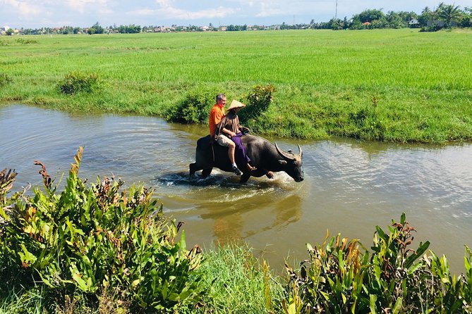 Riding Water Buffalo and Basket Boat Hoi An Private Bike Tour - Bay Mau Coconut Forest by basket boat