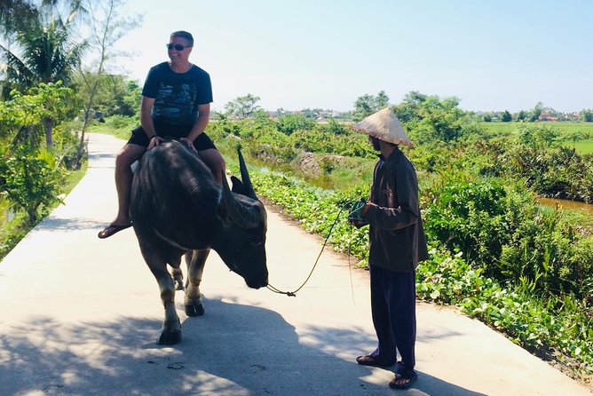 Riding Water Buffalo and Basket Boat Hoi An Private Bike Tour - What $29 buys you