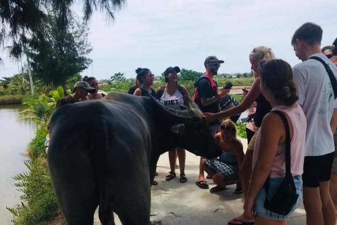 Riding Water Buffalo and Basket Boat Hoi An Private Bike Tour - Who will enjoy this Hoi An tour most?