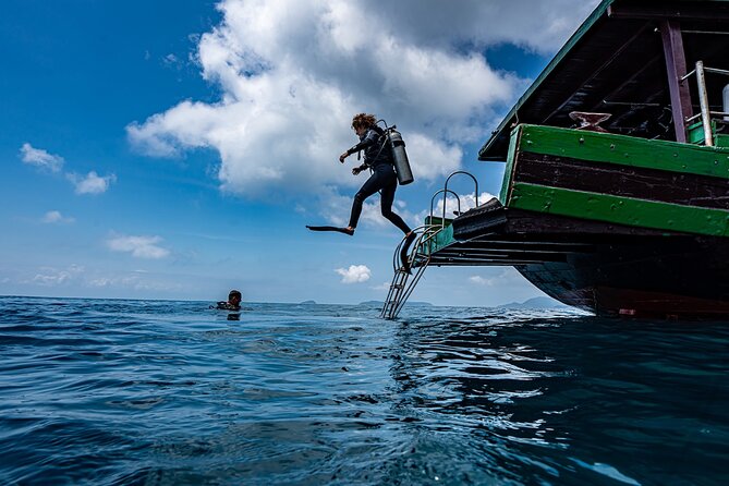 Scuba Diving Tour in Cham Island for certified divers or Beginners - From Hoi An to Cu Lao Cham by speedboat