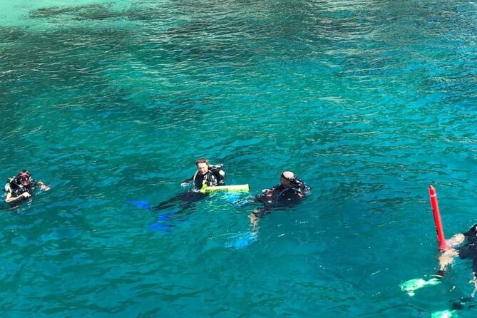 Scuba Diving Tour in Cham Island for certified divers or Beginners - Seeing coral and sea life below the surface