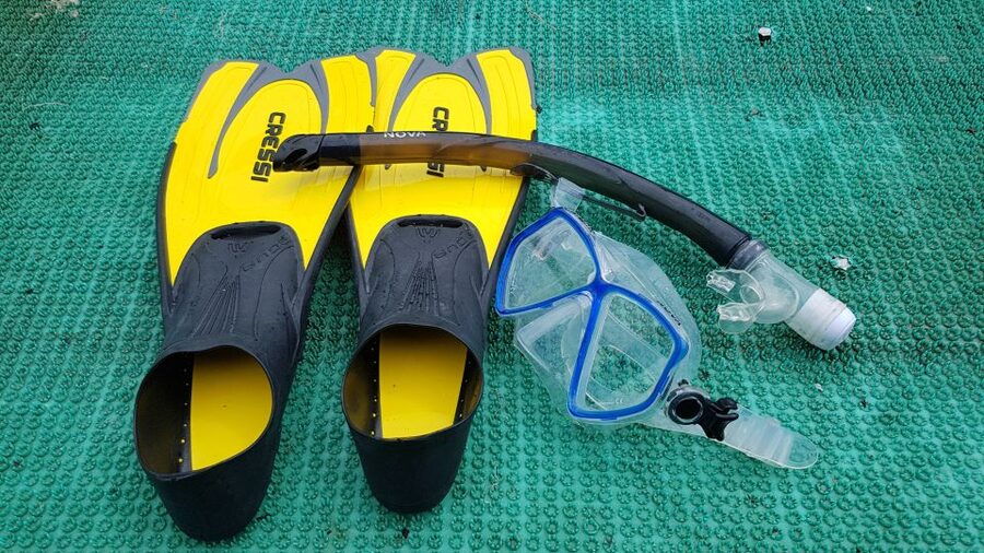 Snorkeling Cham Island: Snorkeling Tour by Speed Boat - What the $53 price really covers