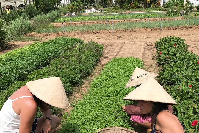 Tra Que Village Cycling And Farming - Who will enjoy this Hoi An cycling tour