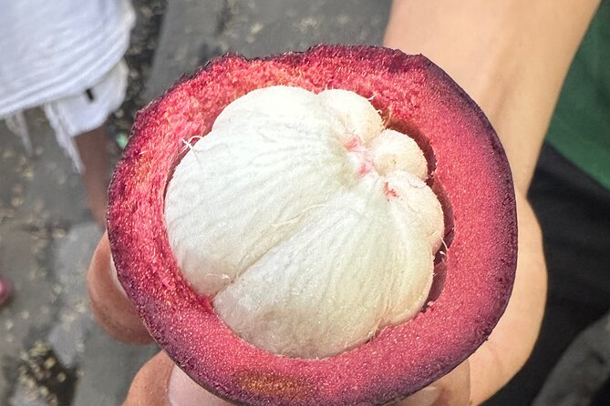 Vegan Food Tour - Untold Stories of Hoi An - Guides who make the food easier to understand