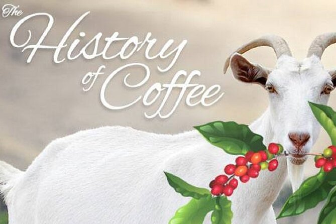 Vietnamese Culture and Coffee Making Class - What the two-hour pace feels like